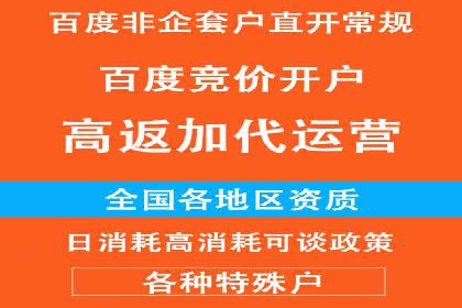 竞价推广公司案例：实战技巧与策略